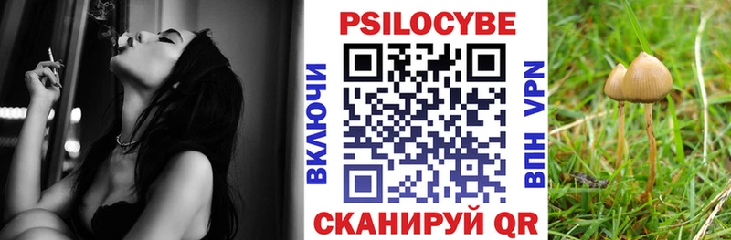 Псилоцибиновые грибы Psilocybine cubensis  Иноземцево 